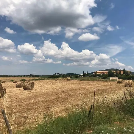 Colle D' Oro Lantgård Pescia Romana