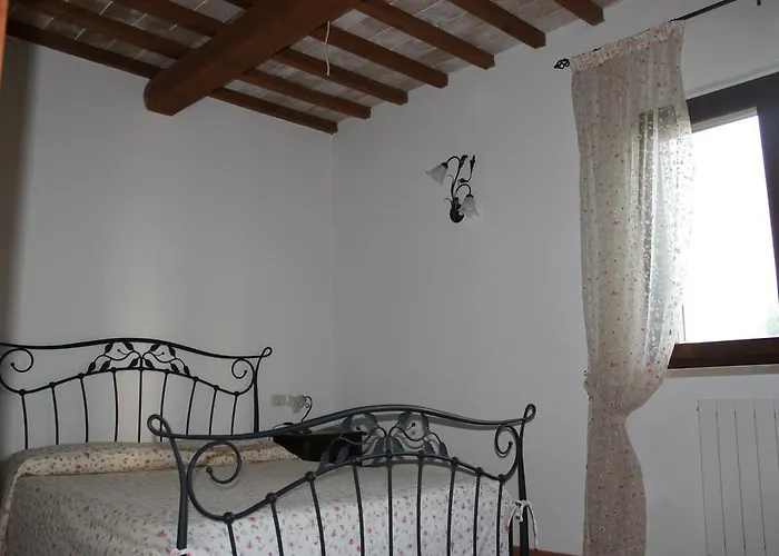 Colle D' Oro Pescia Romana